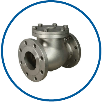 Check Valves