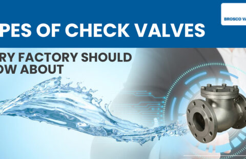 Types-of-Check-Valves-Every-Factory-Should-Know-About